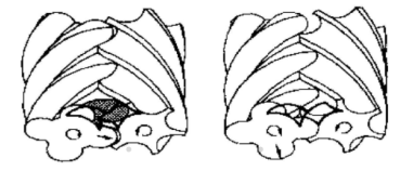 螺桿空壓機(jī)的排氣過程
